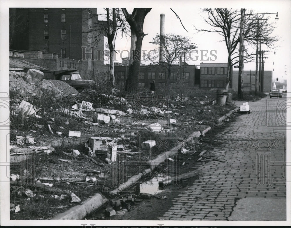 1967 Press Photo Julia Ave. looks like but isn&#39;t City Dump- Historic Images