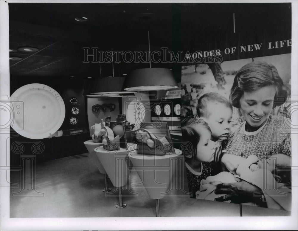 1960 Press Photo Wonders of new life photos at the Health Museum- Historic Images