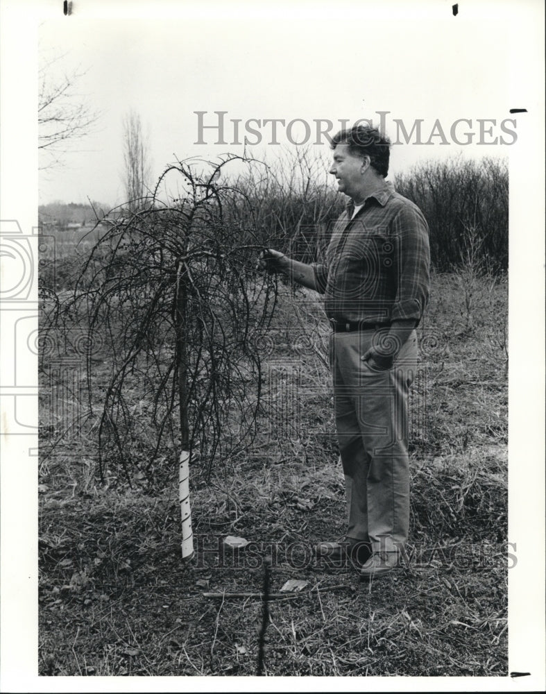 1990 Press Photo Dick Silvus, with Graft- Historic Images