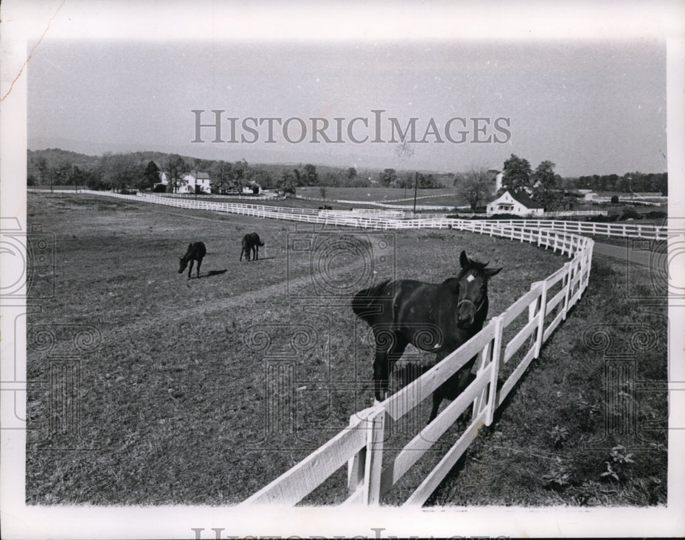 1966 Press Photo John F. Kennedy&#39;s farm and horses-Camelot- Historic Images