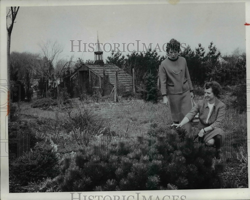 1967 Press Photo Mrs. Robert Smykal, Mrs. John Sanders at Strongsville Ohio- Historic Images