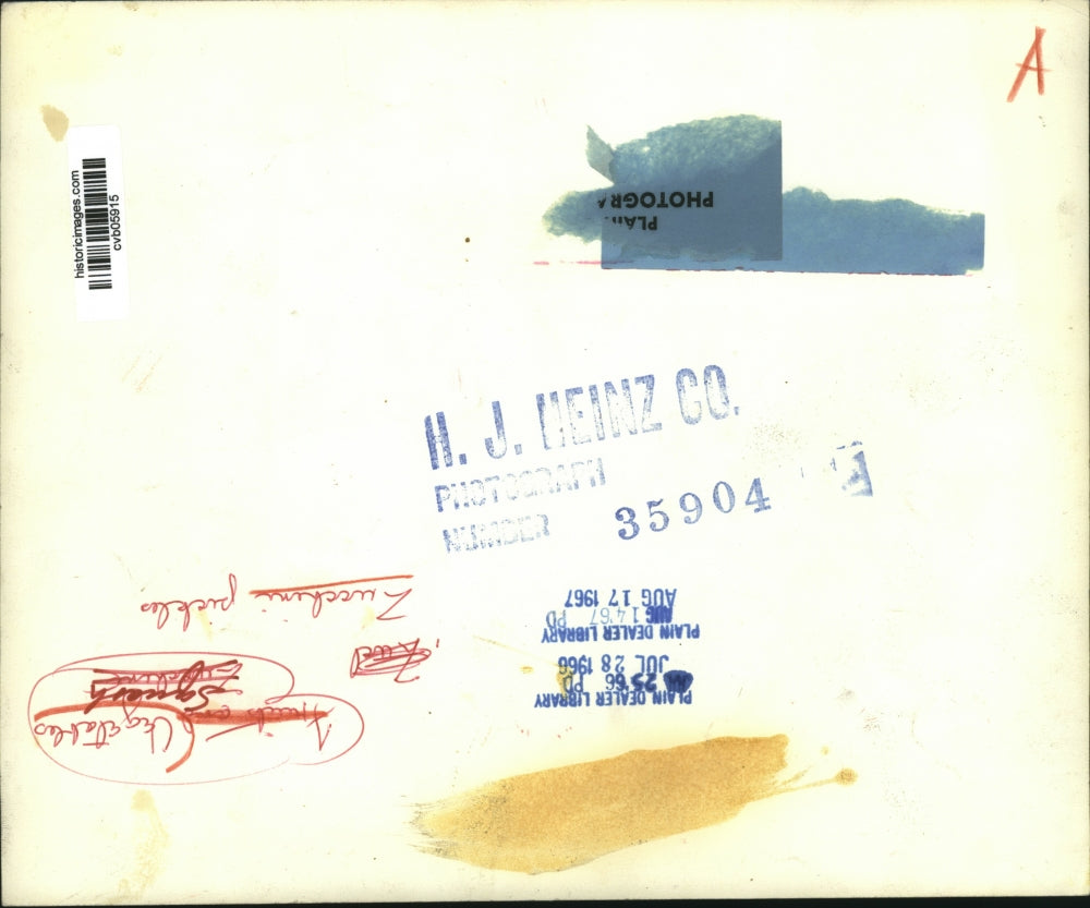 1966 Press Photo Zucchini pickels - cvb05915