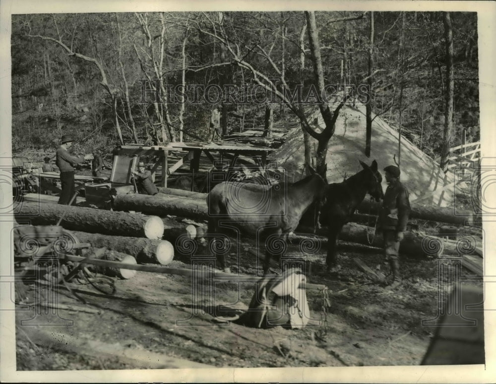 1935 Press Photo President Roosevelt&#39;s farm- Historic Images