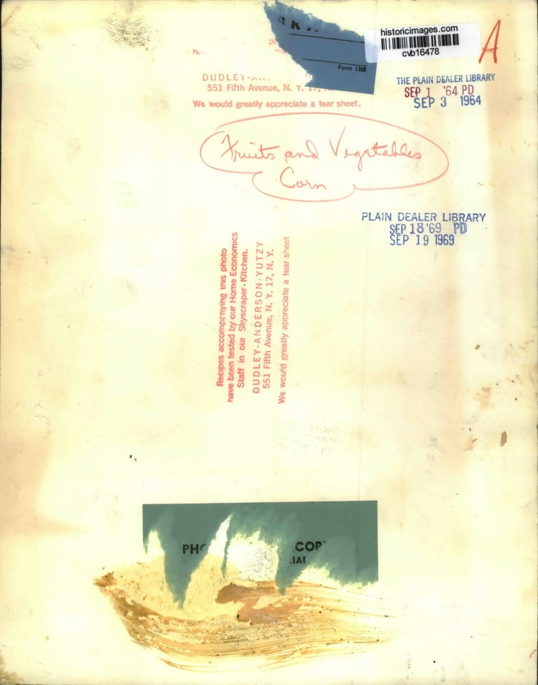 1964 Press Photo Fruits and Vegetables: Corn. - cvb16478