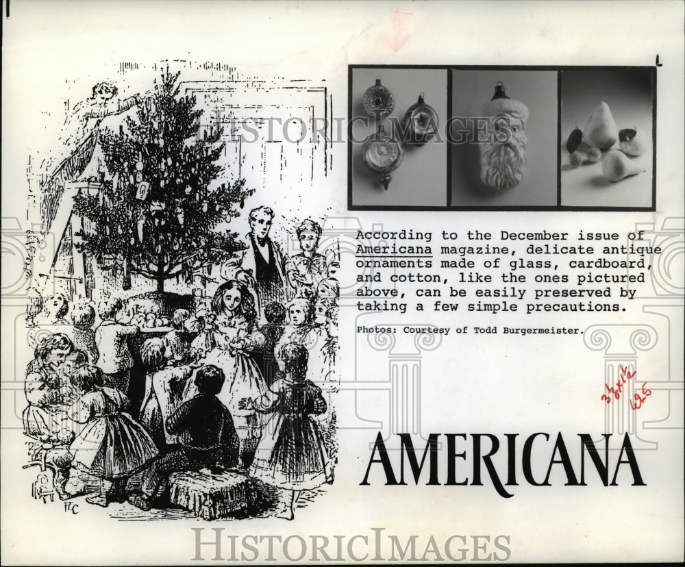 1990 Press Photo Americana, Christmas Holidays - cvb16971