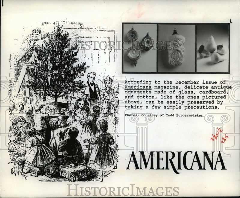 Load image into Gallery viewer, 1990 Press Photo Americana, Christmas Holidays - cvb16971
