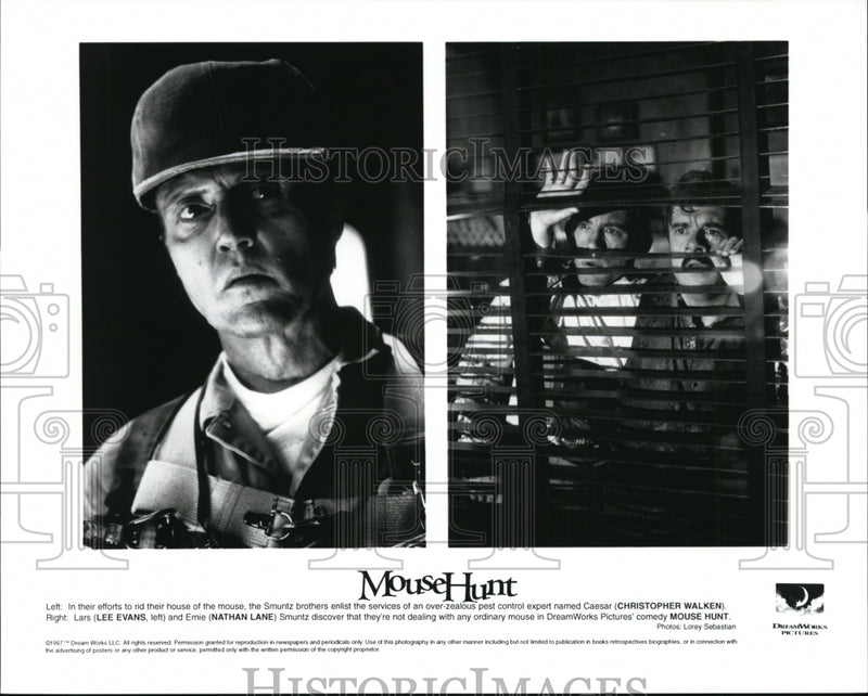 Load image into Gallery viewer, Press Photo Mouse Hunt - cvb20498
