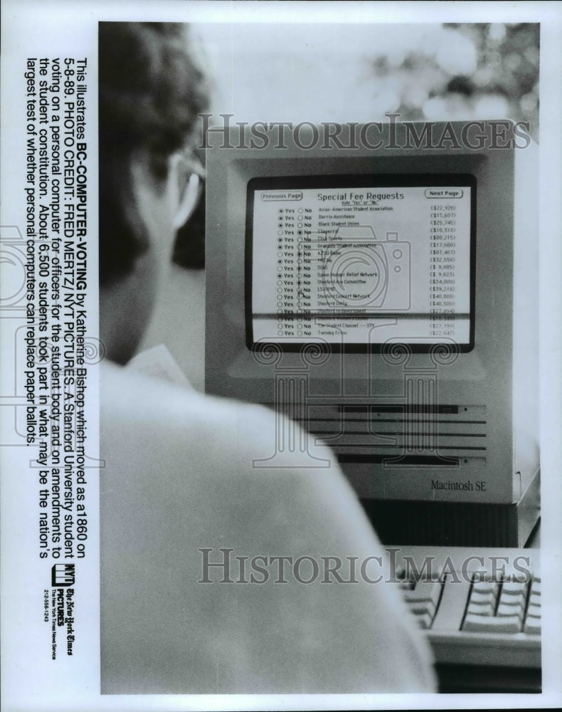1989 Press Photo: Standford University student votes on personal computer