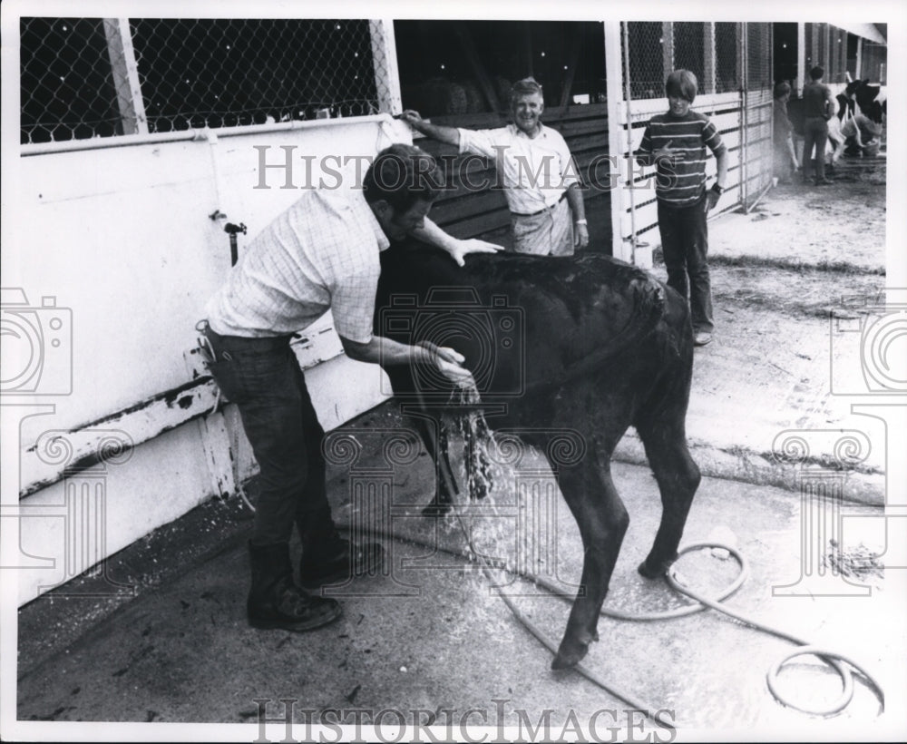 1972 Press Photo Scene from the Cuyahoga County Fair - cvb29815