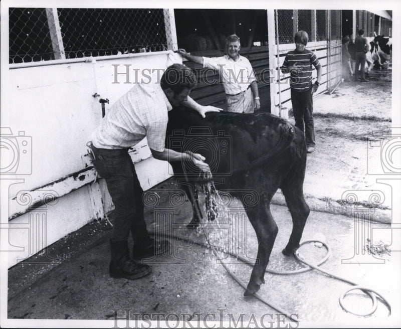 Load image into Gallery viewer, 1972 Press Photo Scene from the Cuyahoga County Fair - cvb29815
