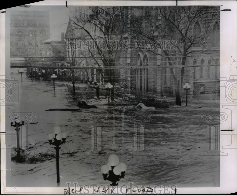 1963 Press Photo Horses Swim on Dayton's Fourth Street - cvb31633