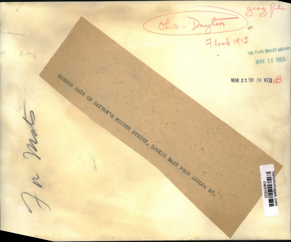 1963 Press Photo Horses Swim on Dayton's Fourth Street - cvb31633