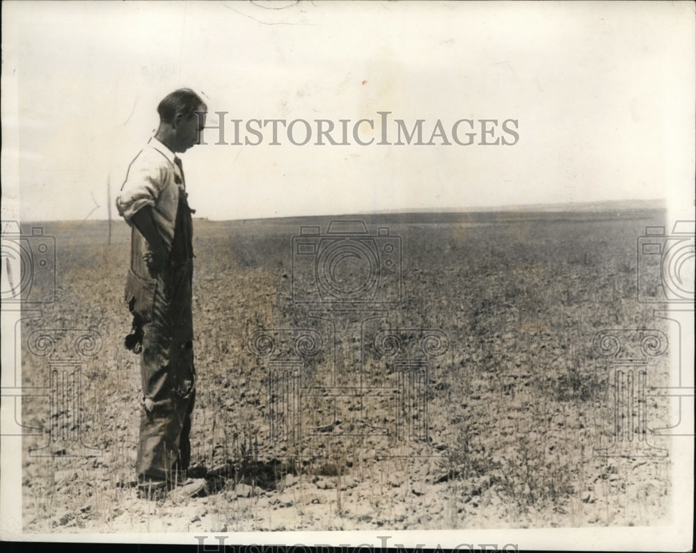 1936 Press Photo Farmer Albert West and the drought in Hardin, Montana- Historic Images