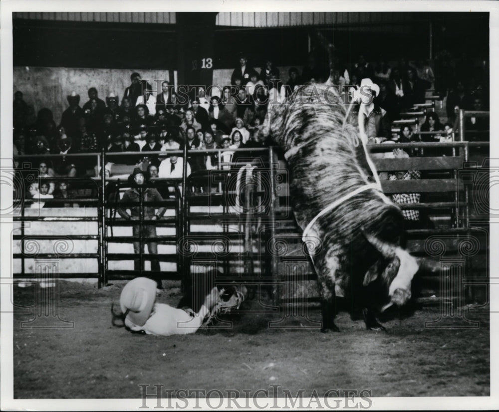 1979 Press Photo A rodeo scene - cvb33060- Historic Images