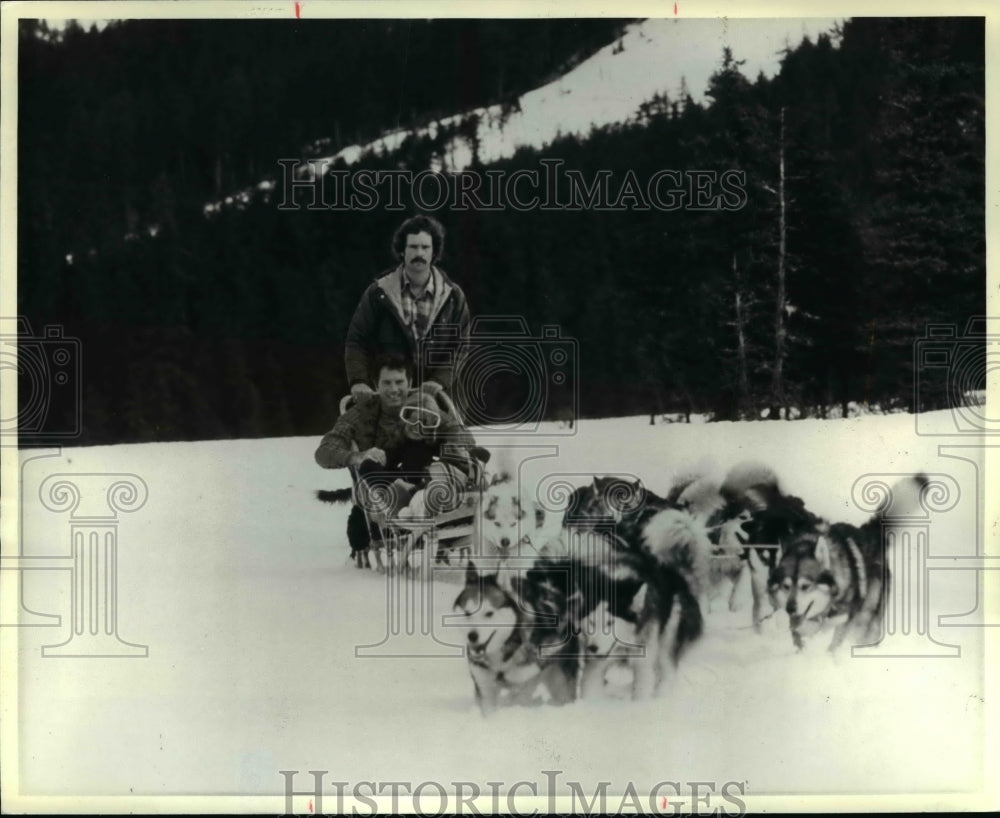 1981 Press Photo Alaska - Thousands of Alaskans maintain teams of sled dogs