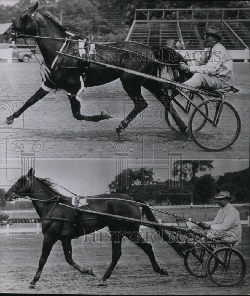 1947 Press Photo Hambletonian Favorites- Historic Images