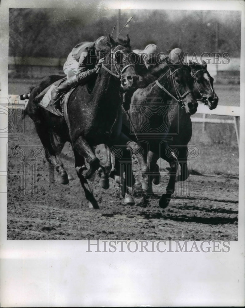 1974 Press Photo Horses-Races-Action Shots 1974 - cvb50220- Historic Images