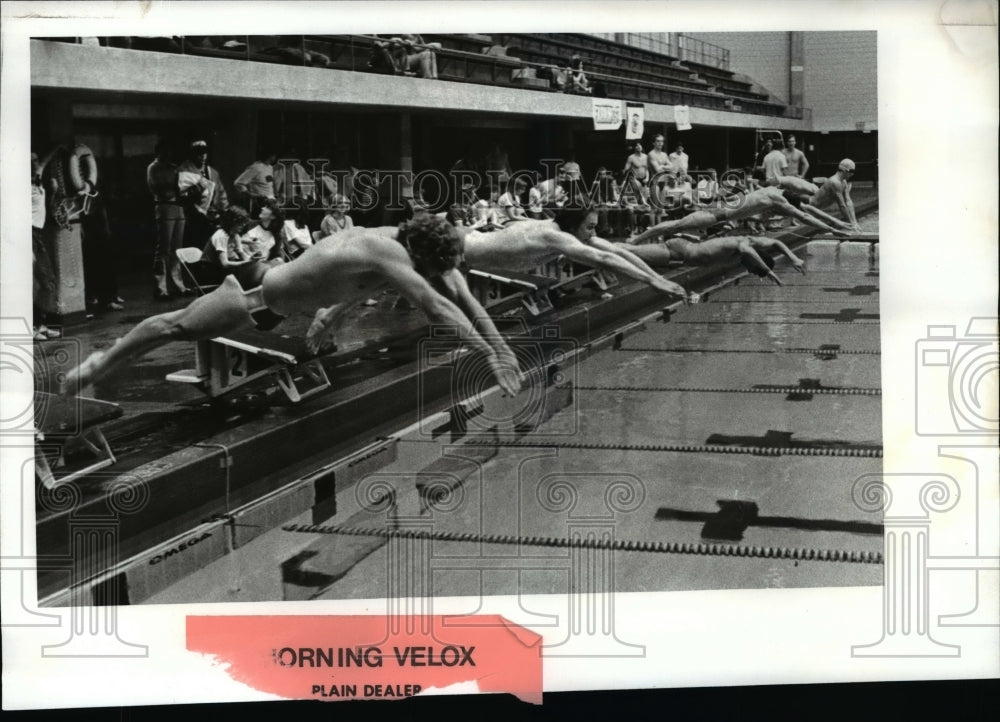 1982 Press Photo CSU Swim meet. Start of 1650 yd race won by Mark Miller- Historic Images