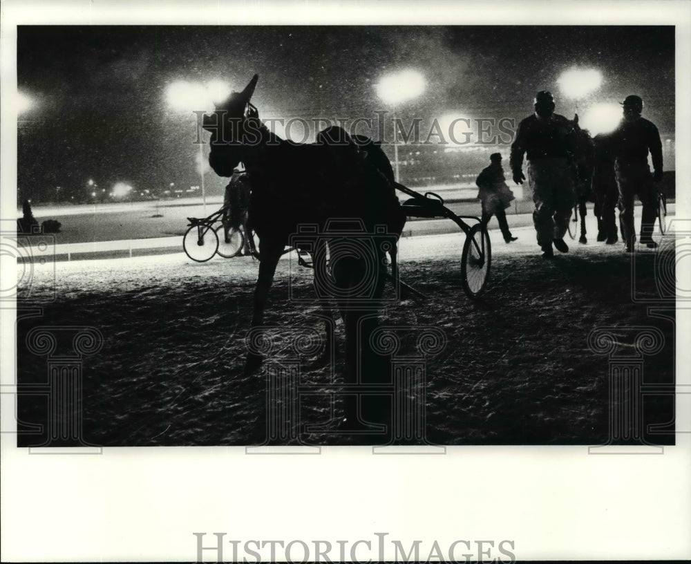 1983 Press Photo Horses are led from the track by grooms after the race.- Historic Images