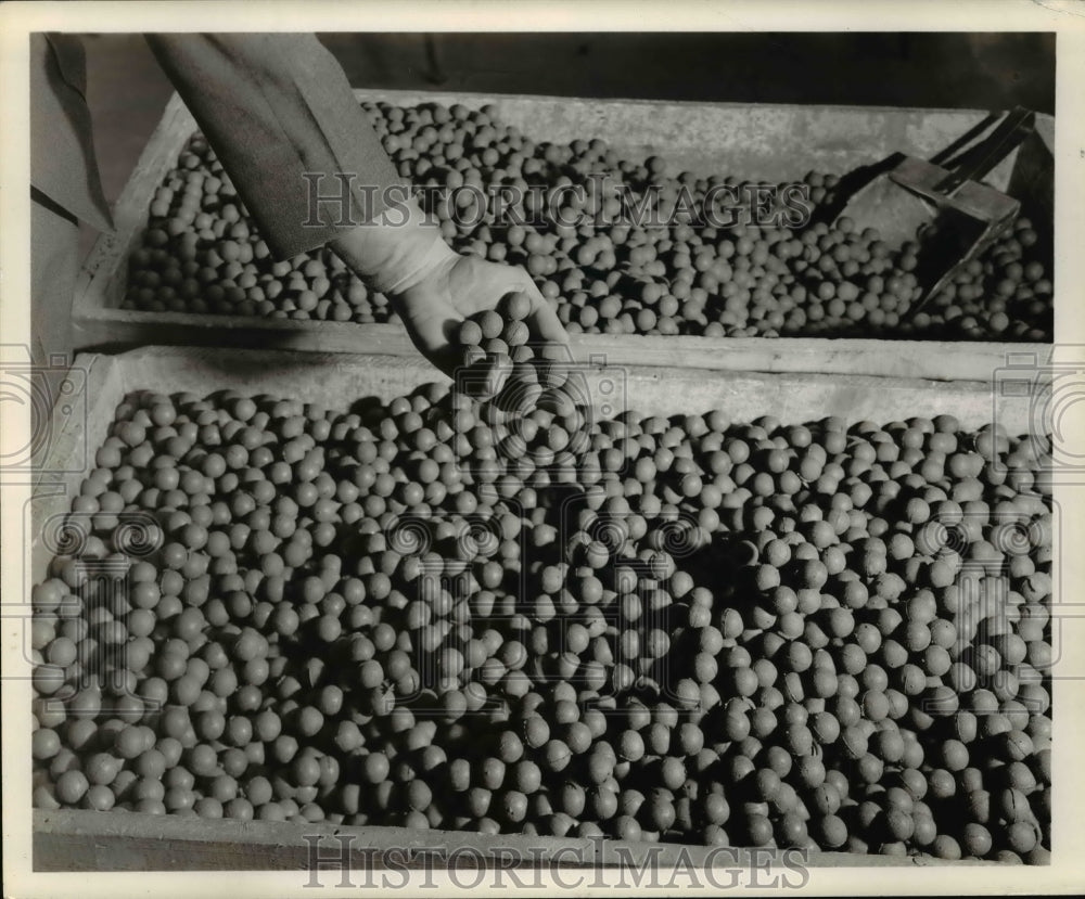 1949 Press Photo Cork pills for famous cushion-cork center - cvb65645- Historic Images