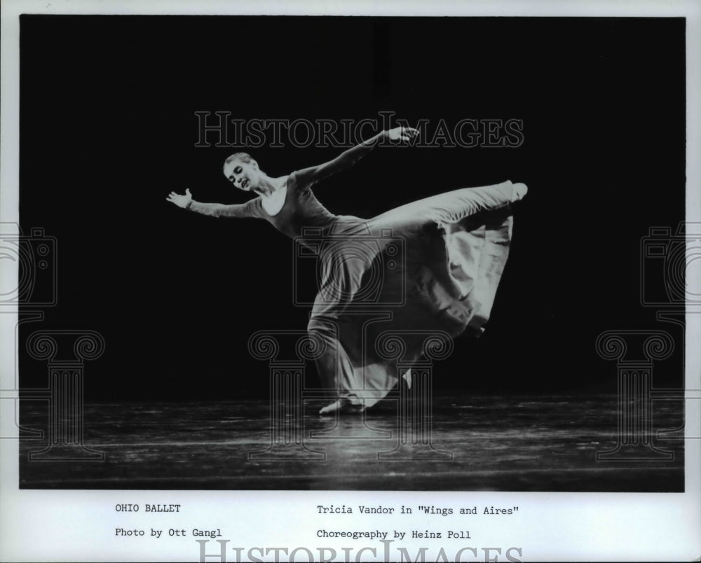 1985 Press Photo Ohio Ballet Tricia Vandor in Wings and Aires- Historic Images