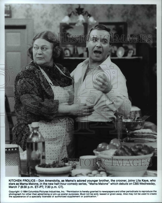 1984 Press Photo Don Amendolia & Lila Kaye in Mama Malone - cvp30025- Historic Images