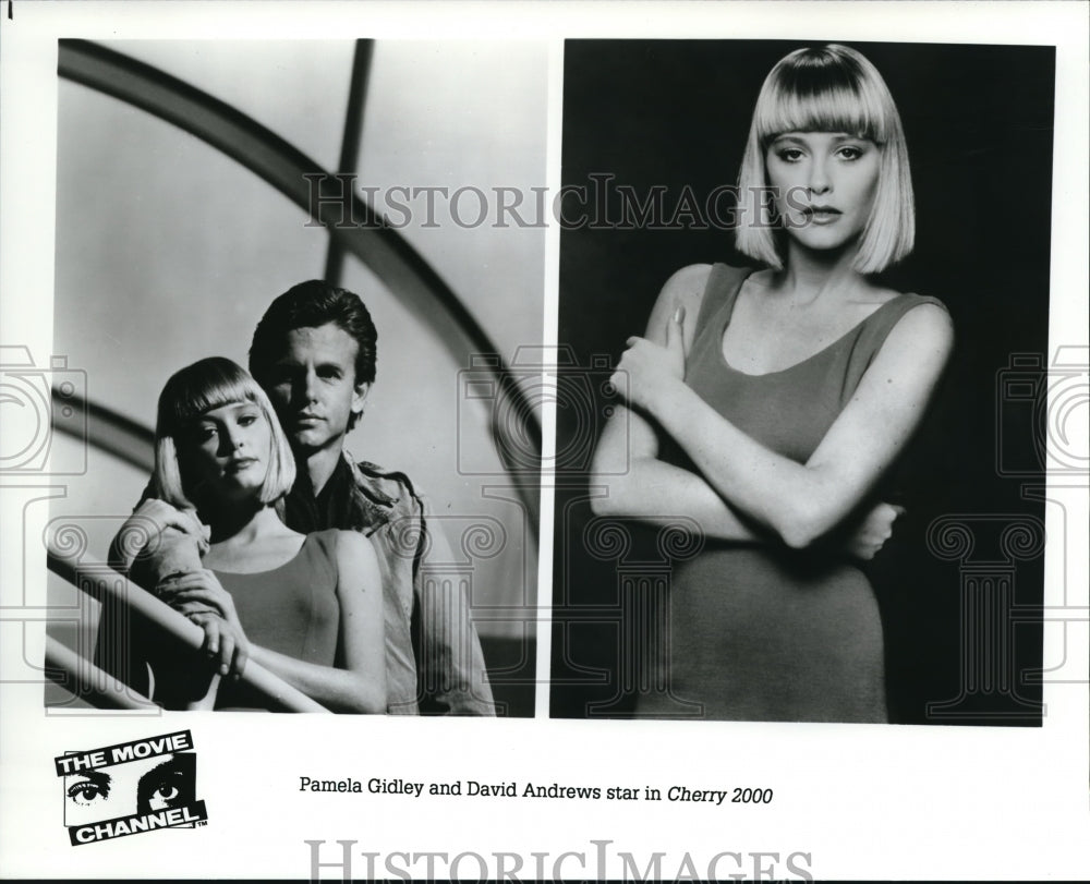 1989 Press Photo Pamela Gidley and David Andrews star in Cherry 2000 - cvp37877- Historic Images