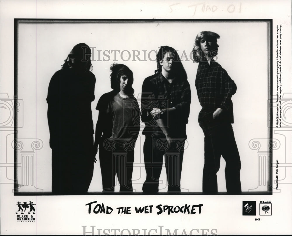 1989 Press Photo Toad the Wet Sprocket - cvp38839- Historic Images