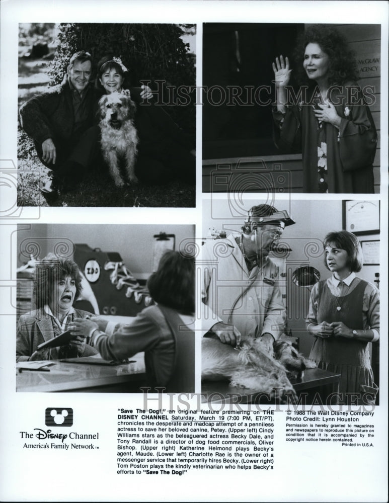1988 Press Photo Save The Dog Cindy Williams - cvp39590- Historic Images