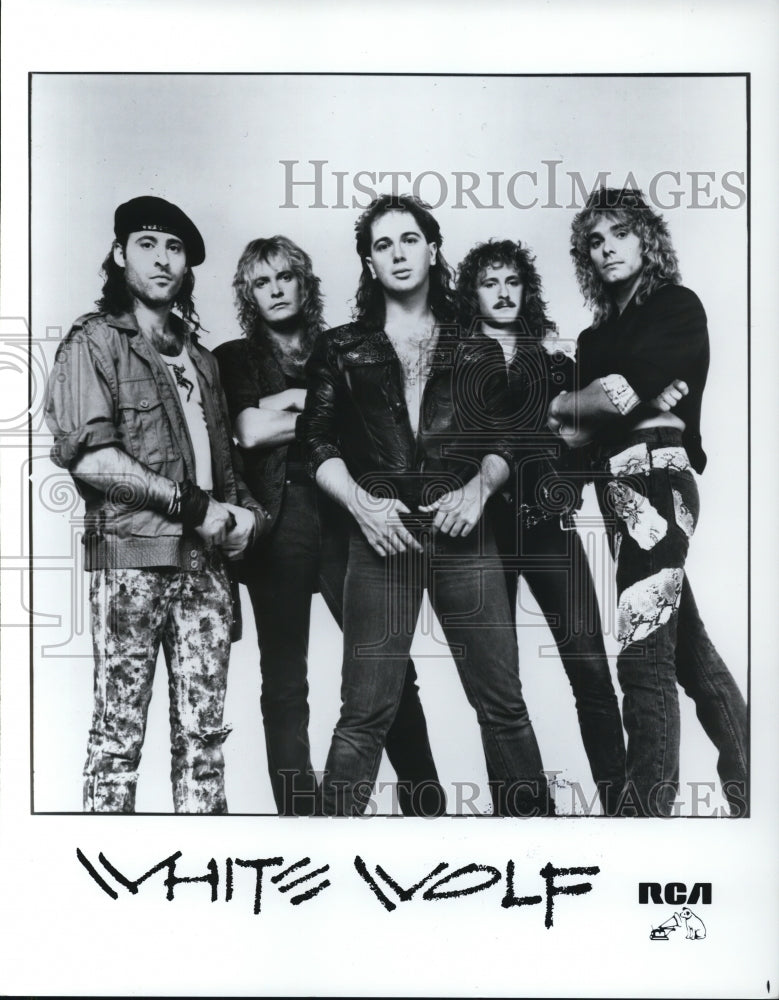1986 Press Photo White Wolf- Historic Images