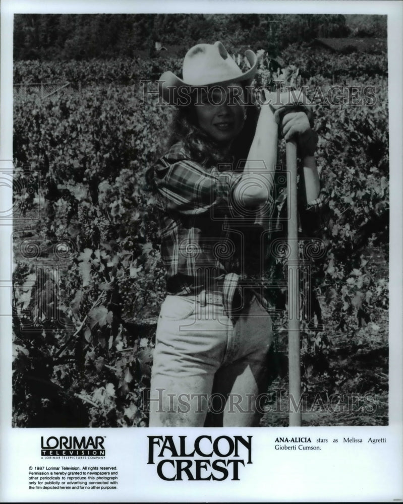 1987 Press Photo Ana-Alicia as Melissa Cumson in Falcon Crest- Historic Images