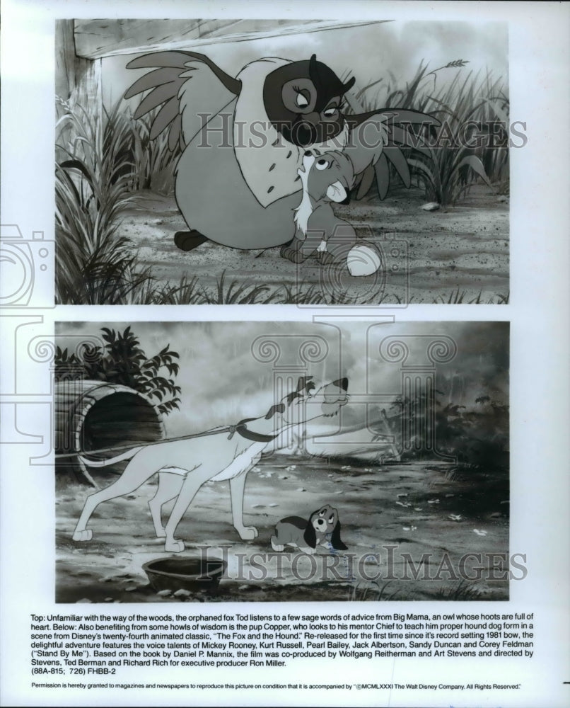 1988 Press Photo Scenes from animated cartoon movie The Fox and The Hound