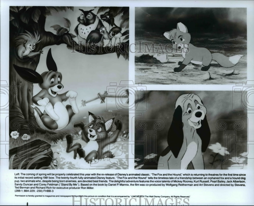 1988 Press Photo Scenes from animated cartoon movie The Fox and The Hound- Historic Images