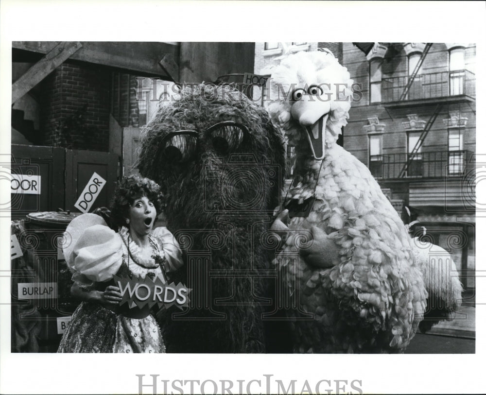 Press Photo Big Bird of Sesame Street - cvp56881- Historic Images