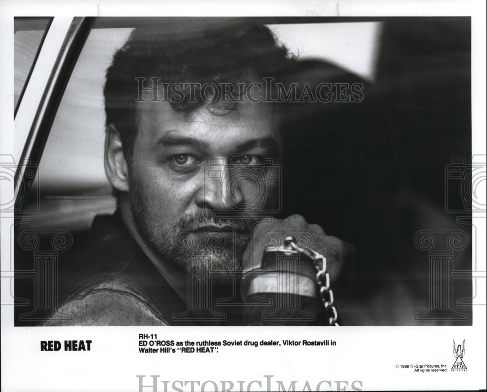 1988 Press Photo Movie Red Heat - cvp57405- Historic Images