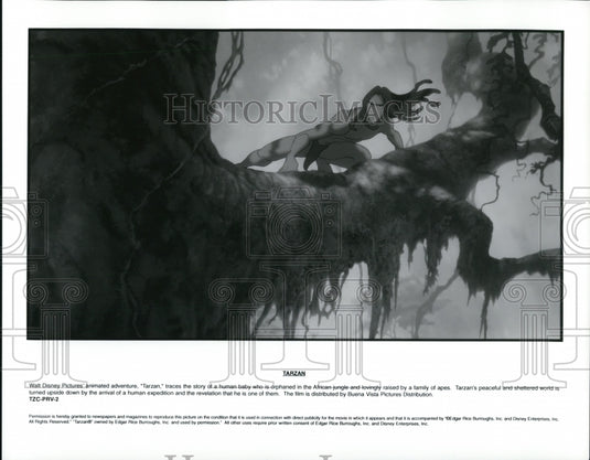 Press Photo Walt Disney's Pictures' animated adventure Tarzan - cvp65629- Historic Images