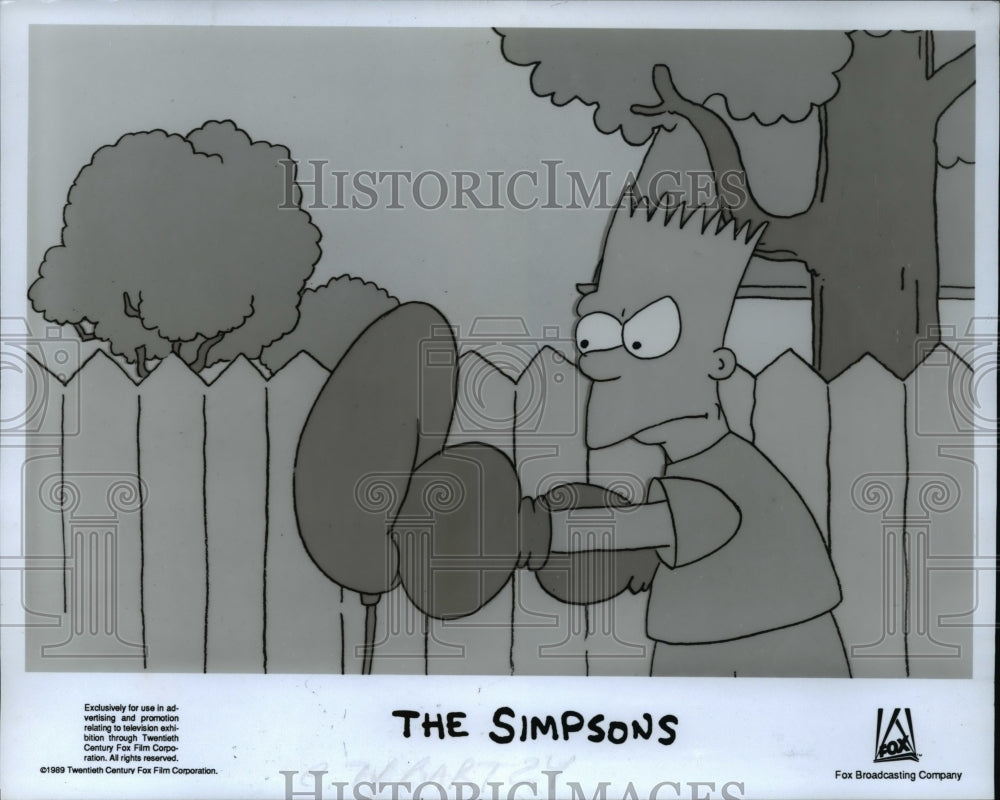 1990 Press Photo Animated cartoon TV show The Simpsons - cvp66385- Historic Images