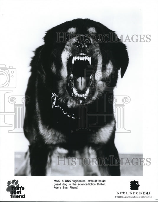 1994 Press Photo Max star of Man's Best Friend sci-fi movie - cvp68244- Historic Images
