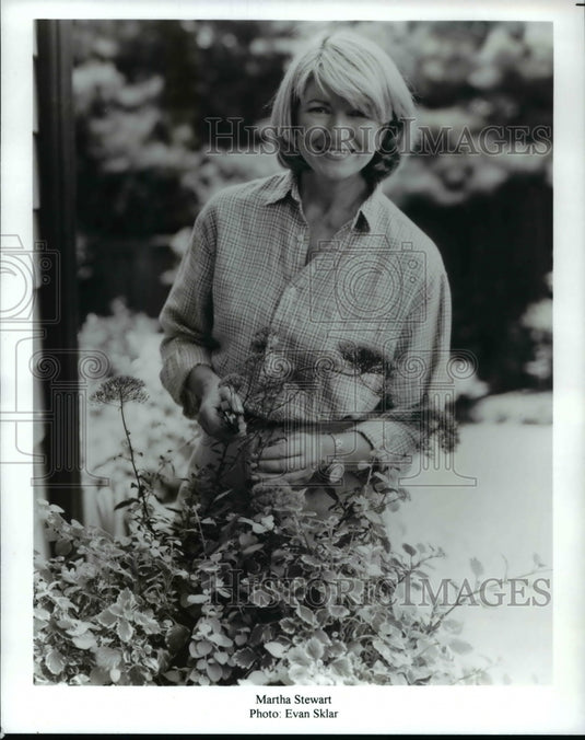 Press Photo Martha Stewart - cvp69424- Historic Images