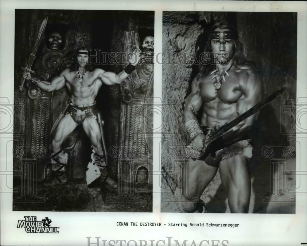 1988 Press Photo Arnold Schwarzenegger in Conan the Destroyer - cvp75902- Historic Images