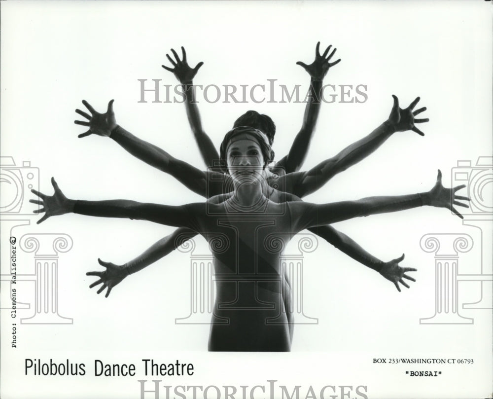 1988 Press Photo Pilobolus Dance Theatre - cvp83795- Historic Images