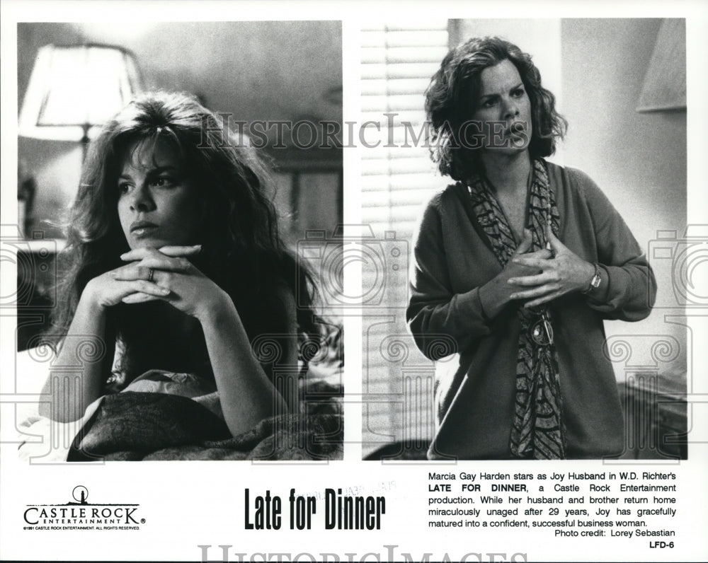1991 Press Photo Marcia Gay Harden stars in "Late For Dinner" - cvp90415