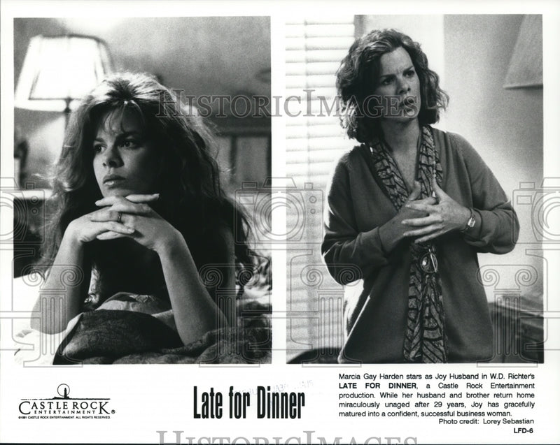 Load image into Gallery viewer, 1991 Press Photo Marcia Gay Harden stars in "Late For Dinner" - cvp90415
