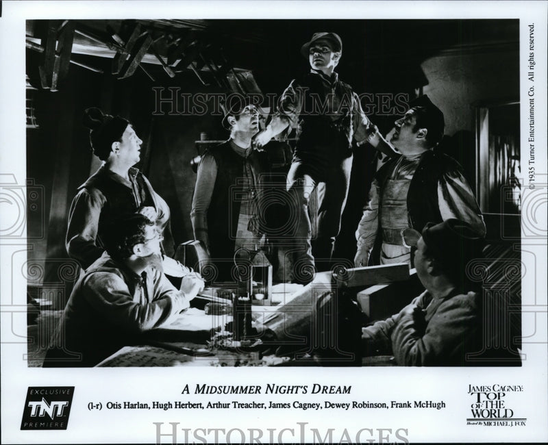 Load image into Gallery viewer, 1993 Press Photo Otis Harlan and the other casts of "A Midsummer Night's Dream"
