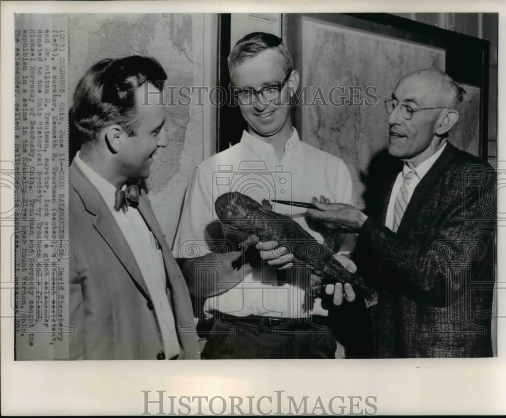 1964 Press Photo Dr. David Stoneberry, Kenneth R. Troutman with a salamander- Historic Images