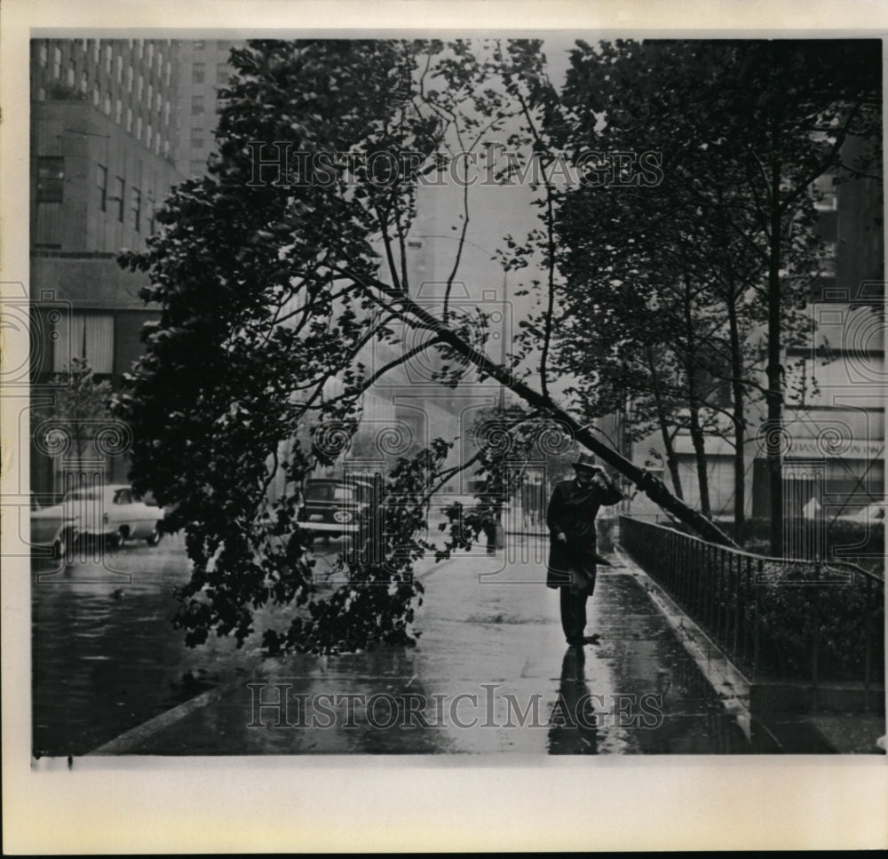 1960 Press Photo Hurricane Donna winds hit Rockefeller Center Area New York- Historic Images