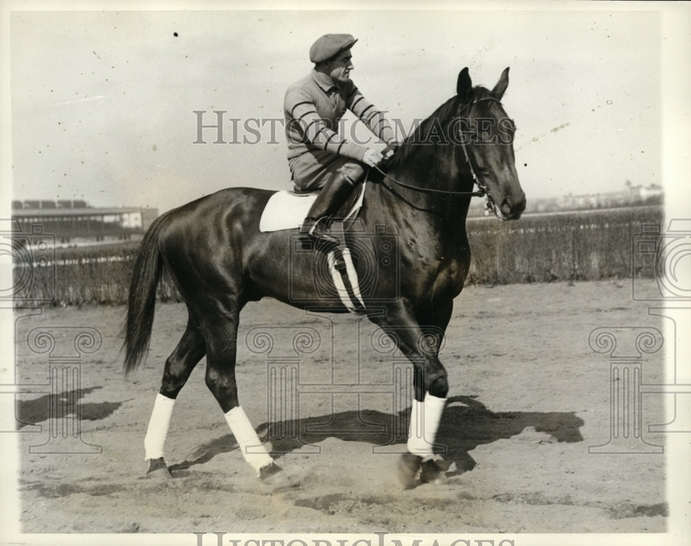 1932 Press Photo Kentucky Derby Entrant Pro Bono Owned by Mrs. P. Whitney- Historic Images