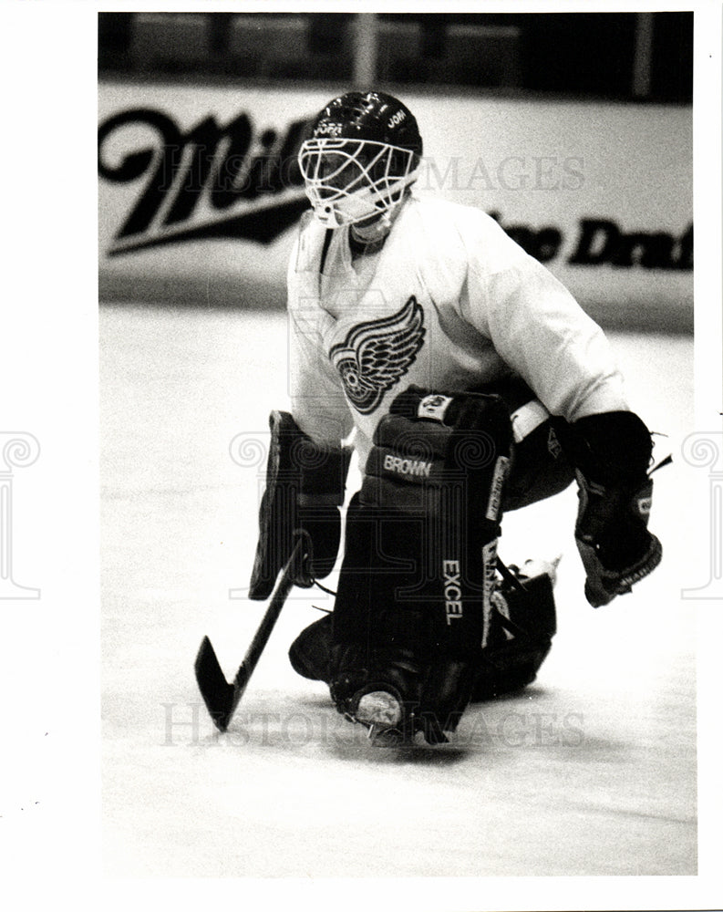 1991 Press Photo Vincent Riendeau practice with Red Wing- Historic Images