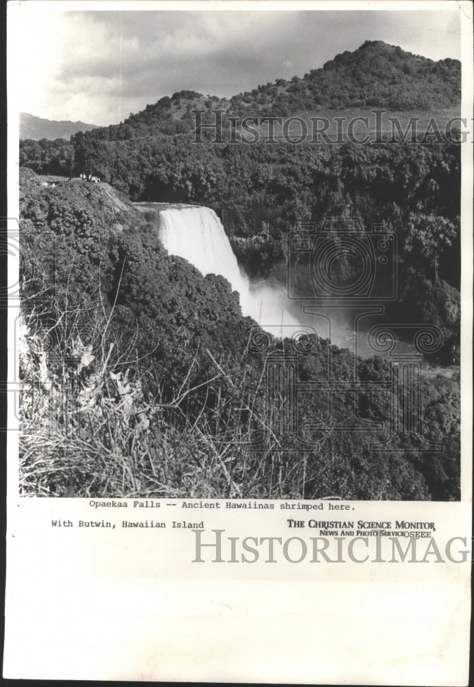 Press Photo Opaekaa Falls, Hawaii - ftx02394