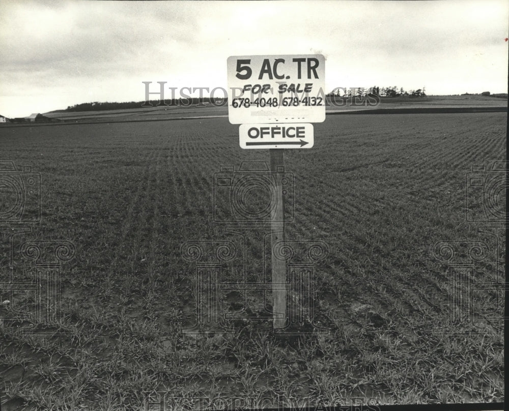 1980 Press Photo Al Ryan Doesn't Want Ebey's Prairie to Become a "Slub."- Historic Images